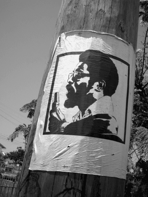 ‘‘Walter Rodney commemorative poster, Georgetown, Guyana,’’ July 2005 © Nicholas Laughlin.