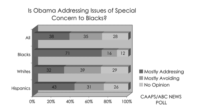 Figure 1. Perceptions of Obama's concern about black issues.