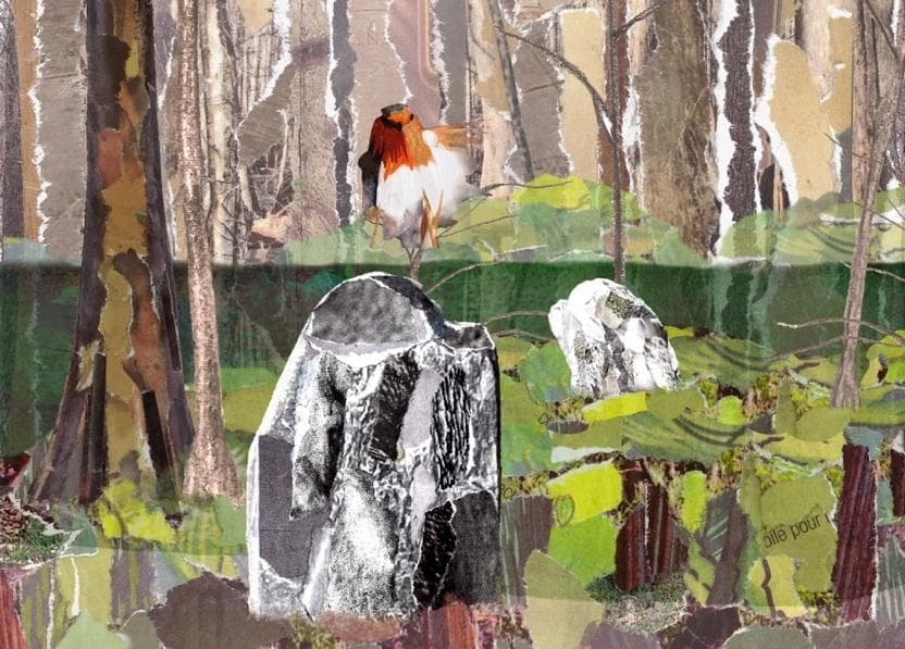 Figure 7. Rebecca Louise Carter, “A Bird Sang to Me,” 2025. Animation still.